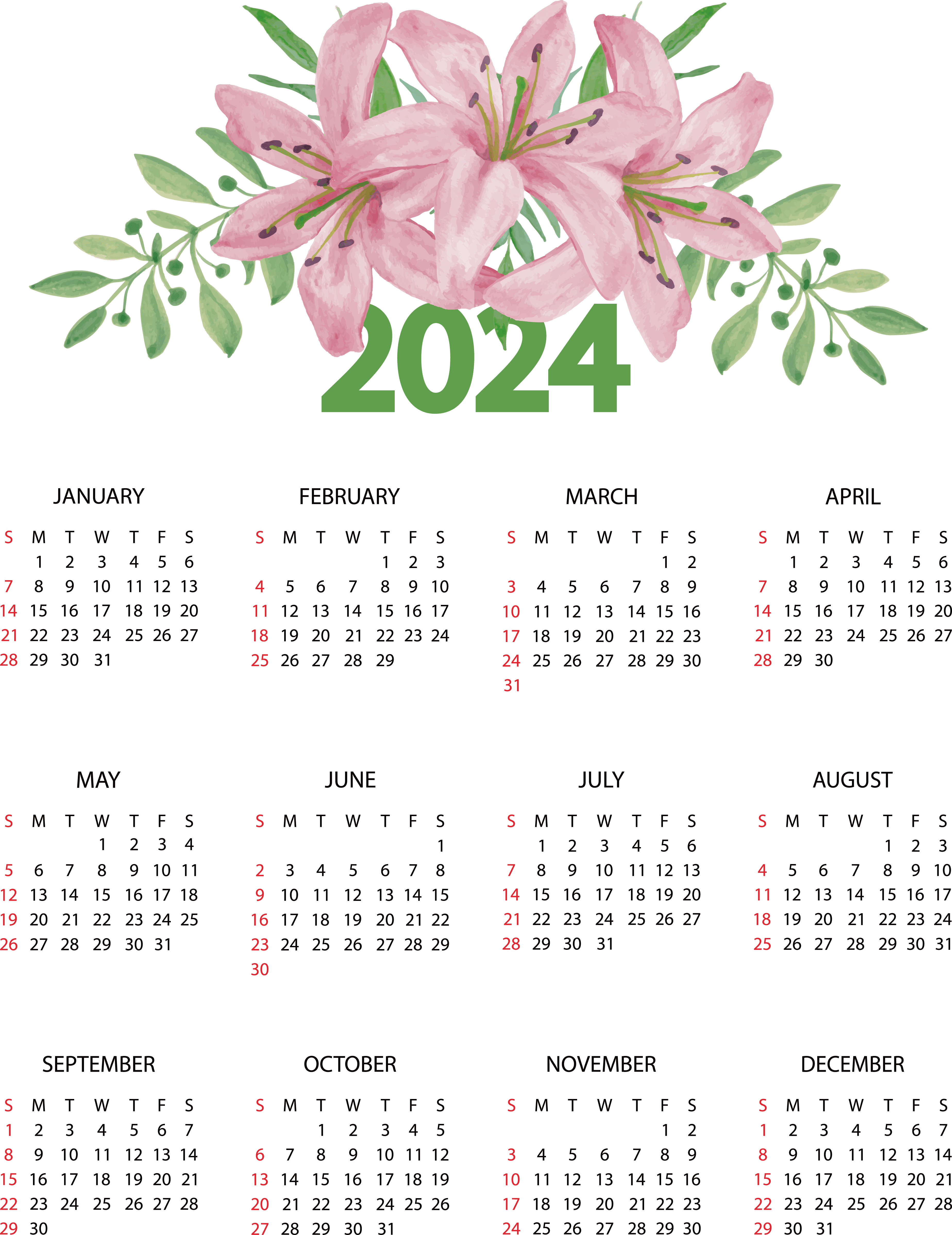 Calendar 2024 PNG Background