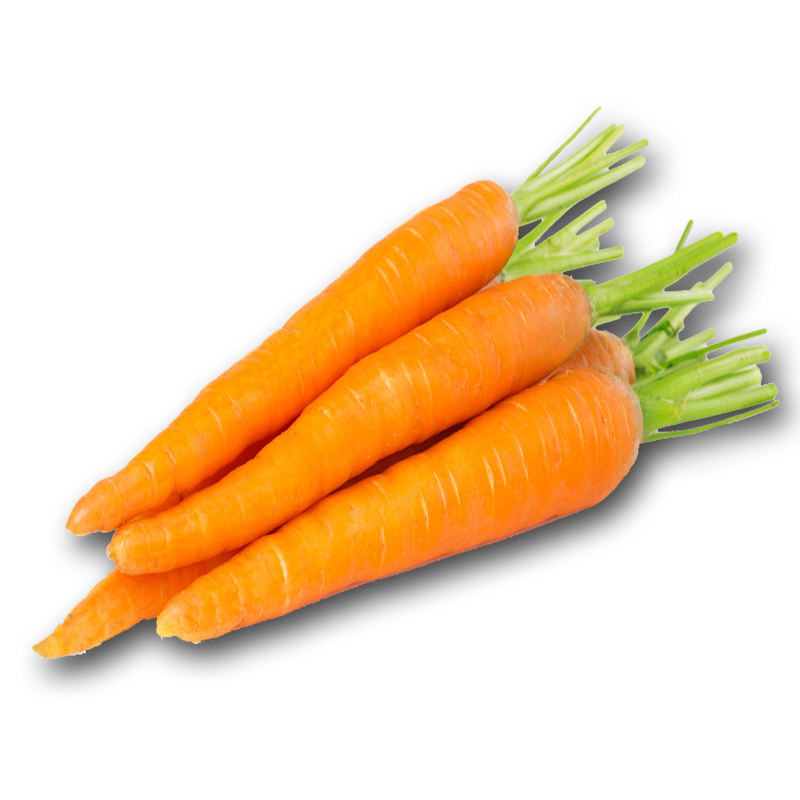 Carrots Free PNG