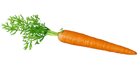 Carrots No Background