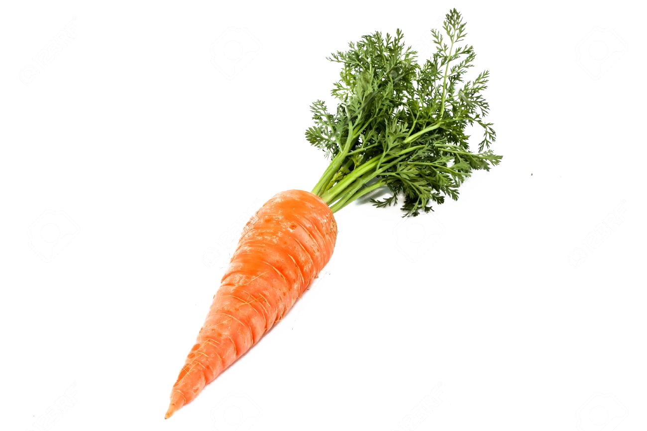 Carrots PNG Background