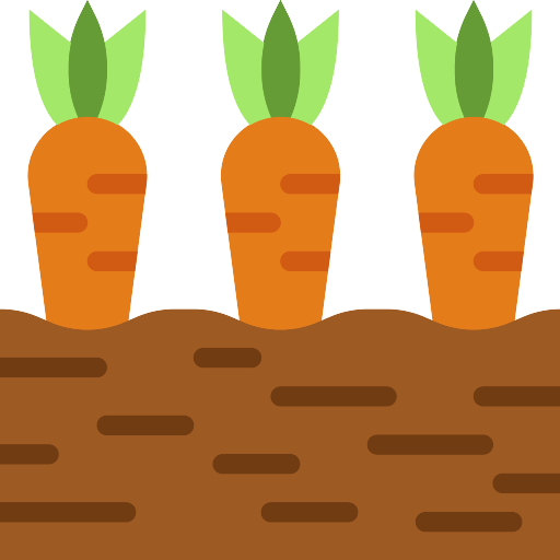 Carrots PNG Free File Download