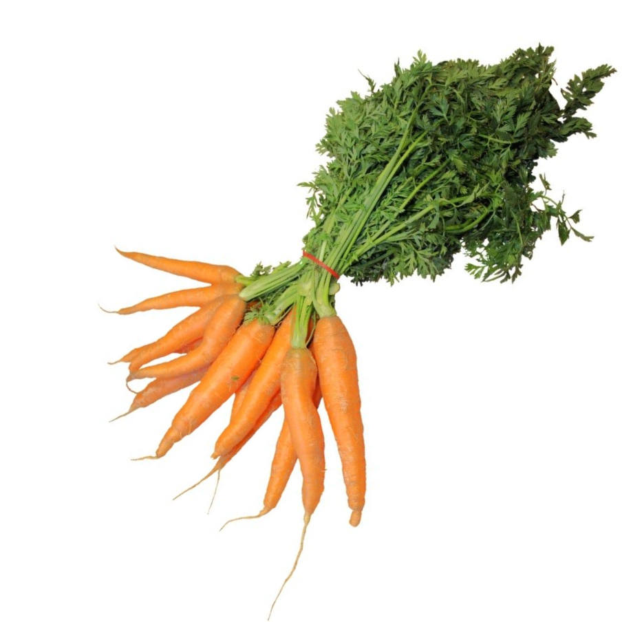 Carrots PNG Images HD