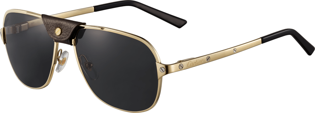Cartier Sunglasses Free PNG