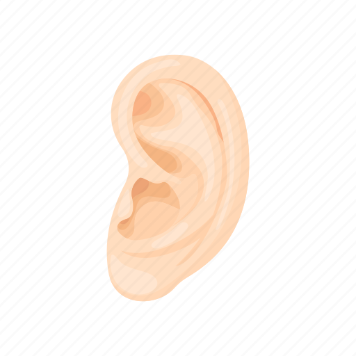 Cartoon Ears PNG Free File Download