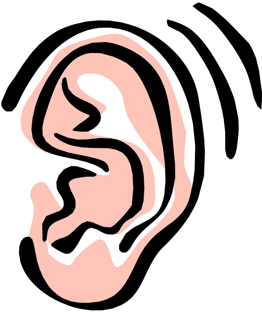 Cartoon Ears Transparent Free PNG