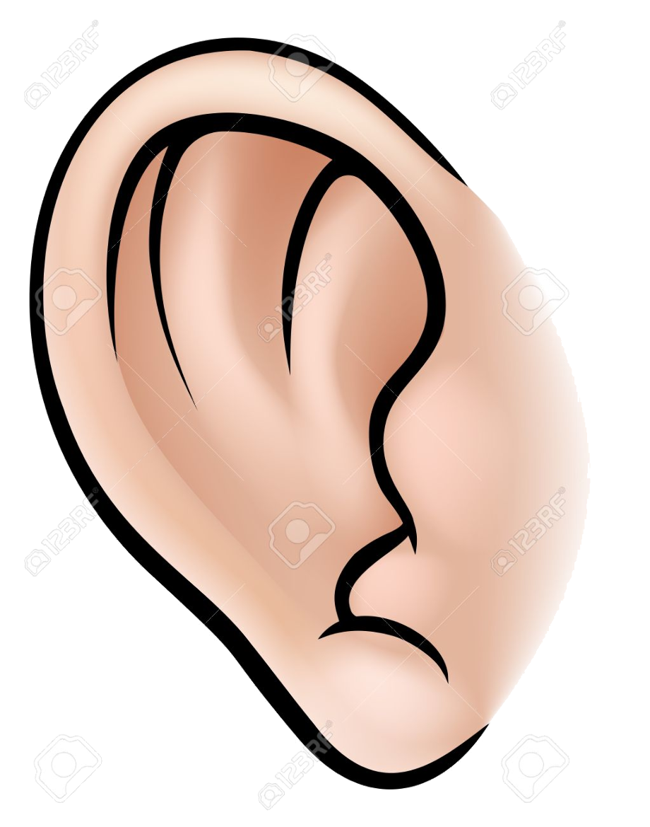 Cartoon Ears Transparent Images