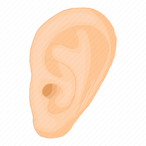 Cartoon Ears Transparent PNG