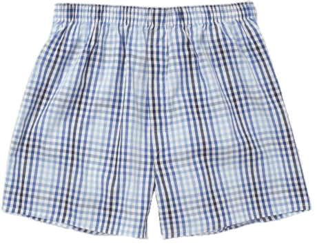 Checkered Boxer Shorts Download Free PNG