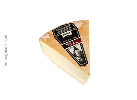 Cheese Gruyere Photo Slice Transparent PNG