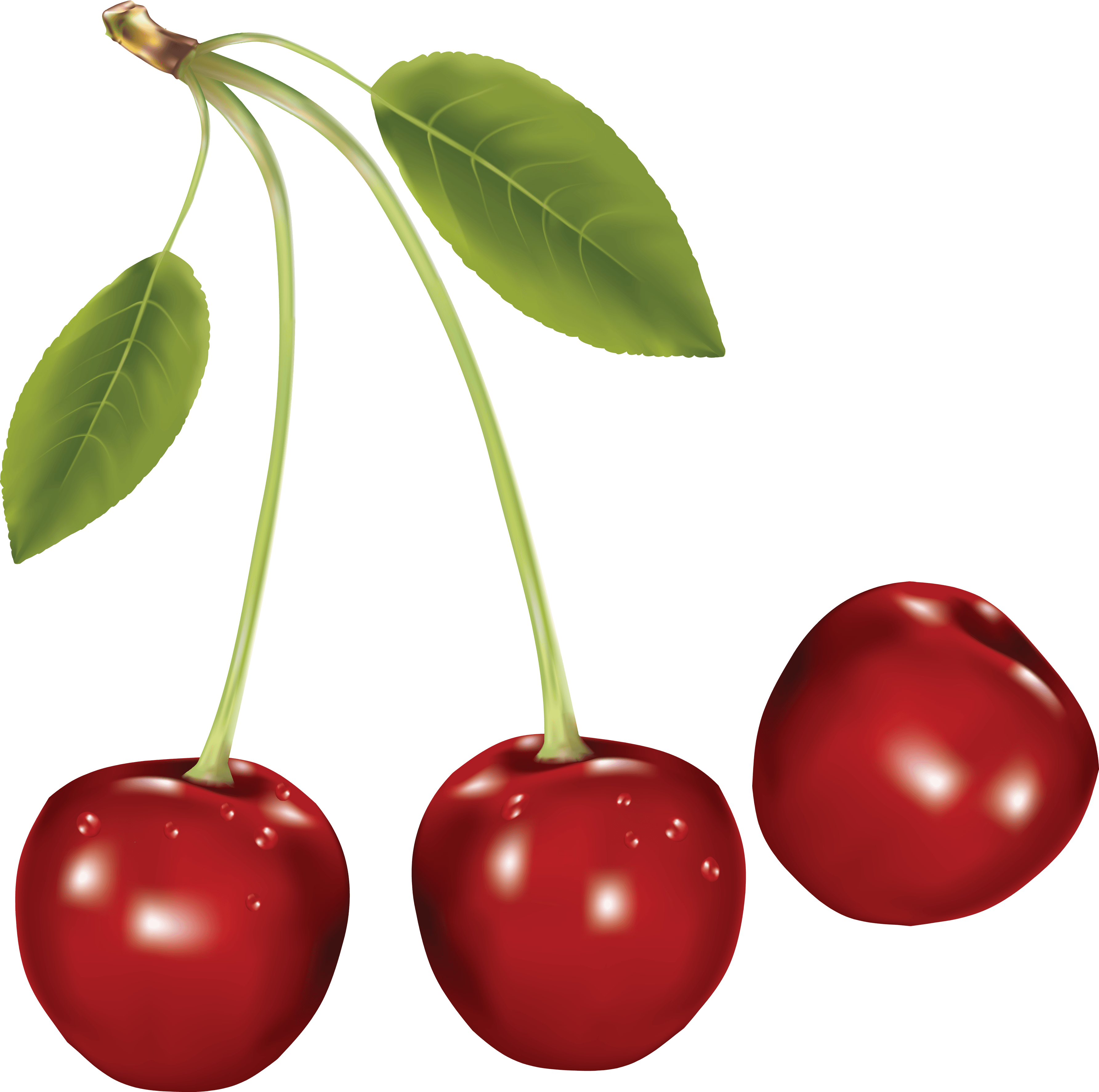 Cherries PNG Clipart Background