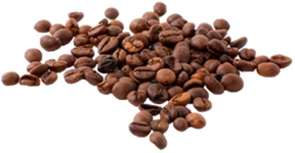 Chocolate Coffee Beans Transparent Free PNG