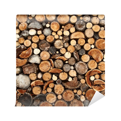 Chopped Logs PNG HD Quality