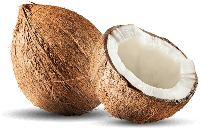 Coconuts Background PNG Image
