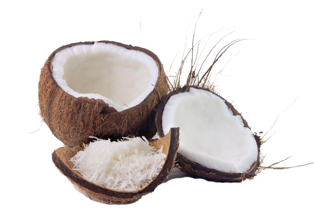 Coconuts Background PNG