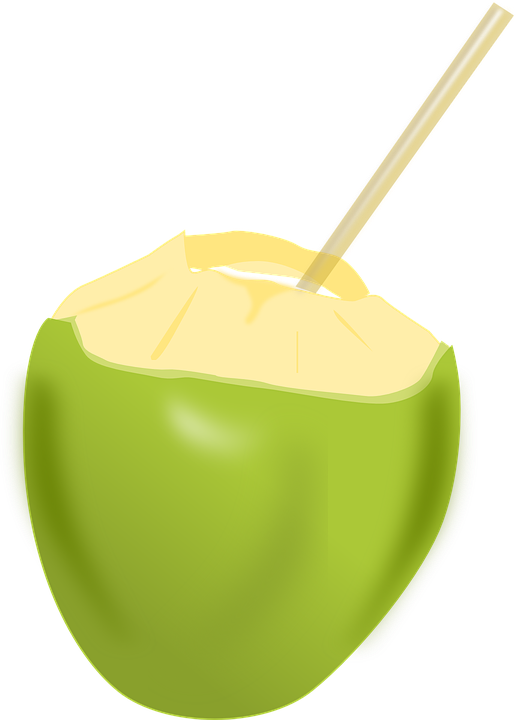 Coconuts Free PNG