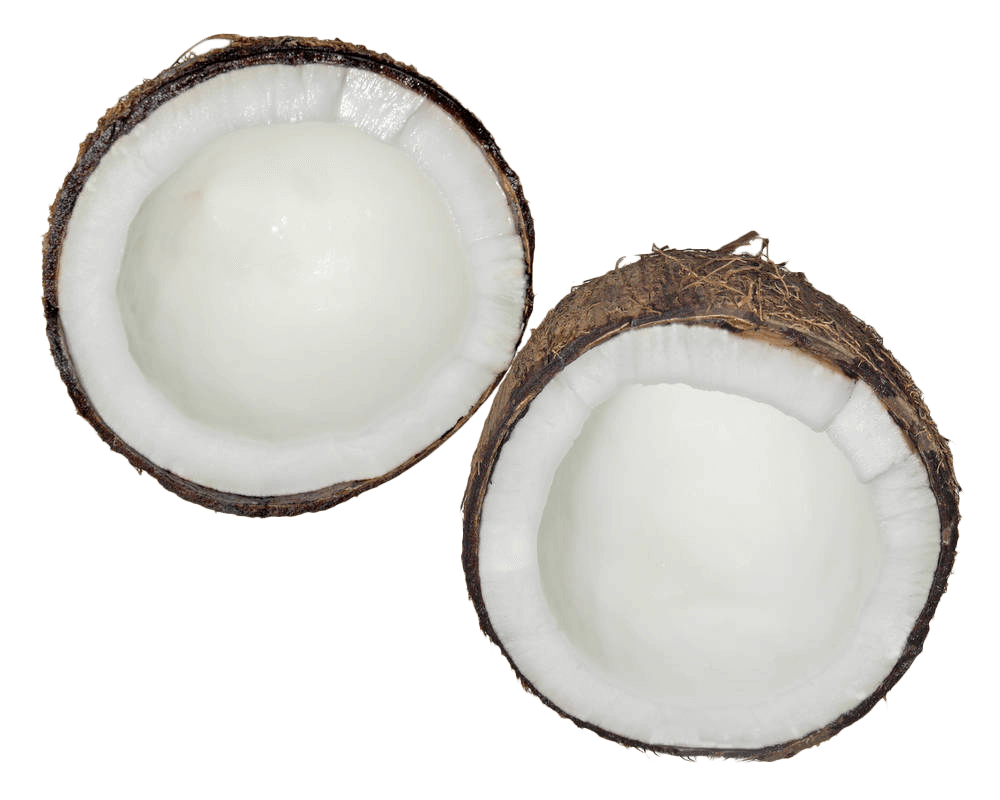 Coconuts PNG Clipart Background