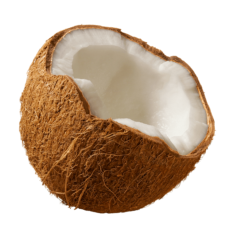 Coconuts Transparent Image