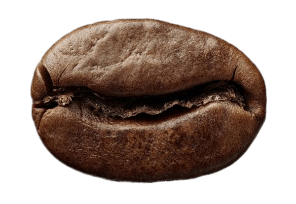 Coffee And Beans Transparent PNG