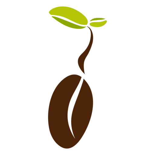 Coffee Beans Leaves PNG Clipart Background