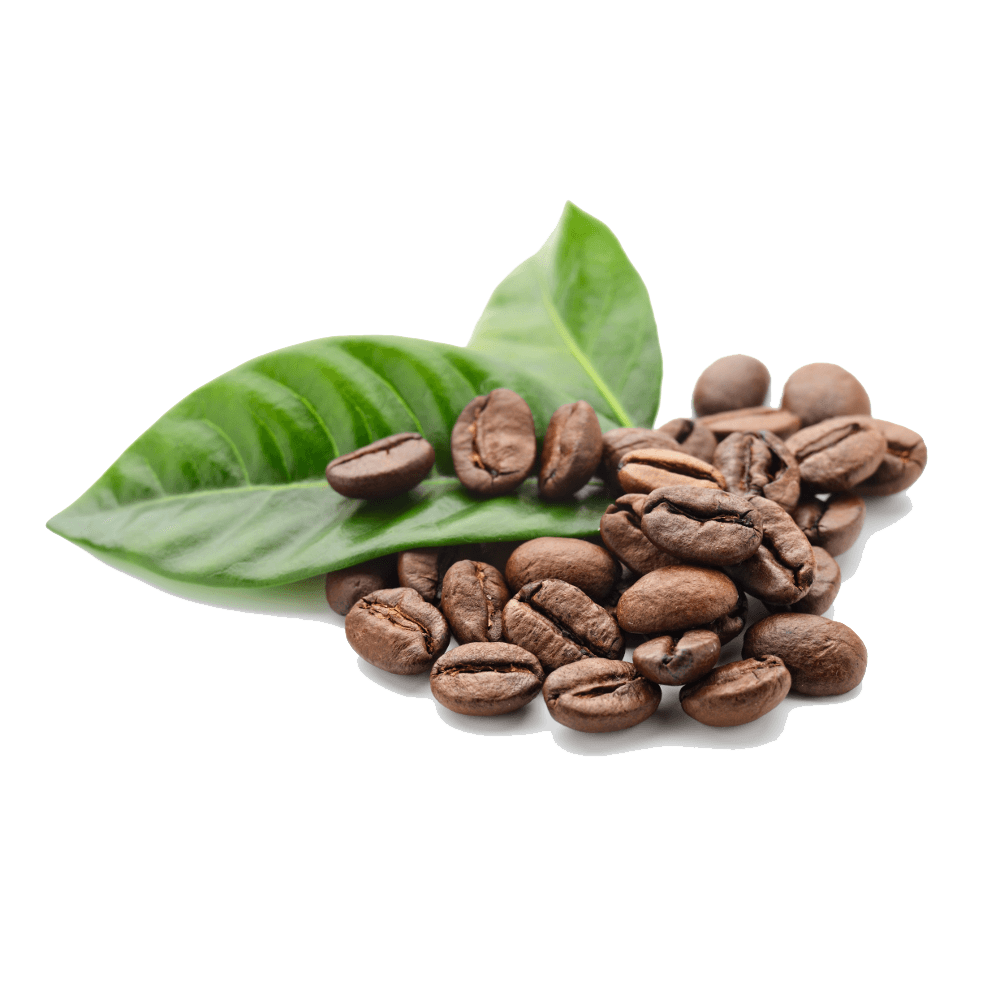 Coffee Beans Leaves PNG HD Quality