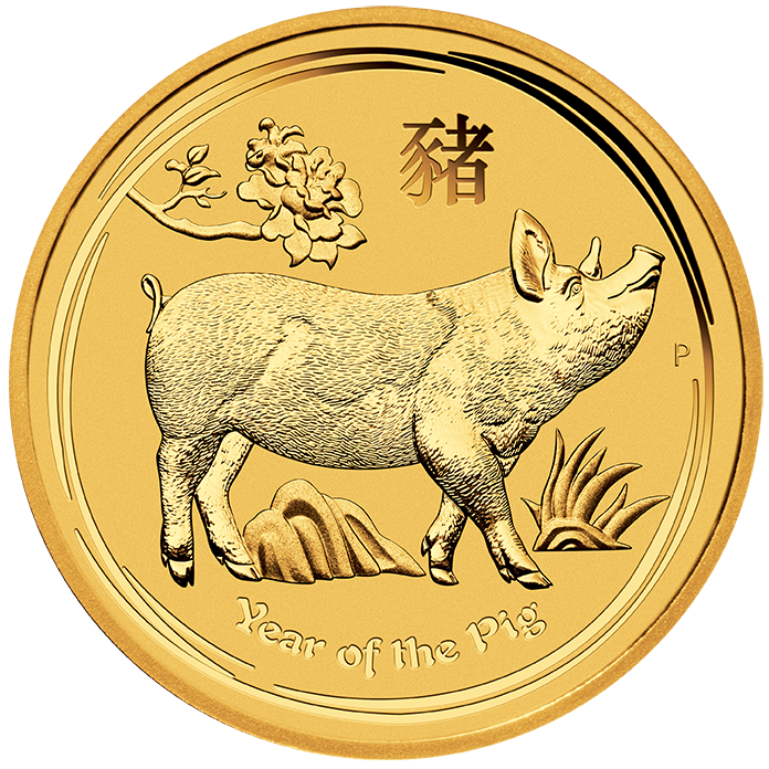 Coin Pig Transparent Background
