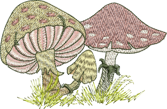 Collection Of Mushrooms Transparent Free PNG