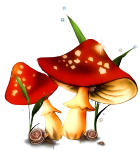 Collection Of Mushrooms Transparent PNG