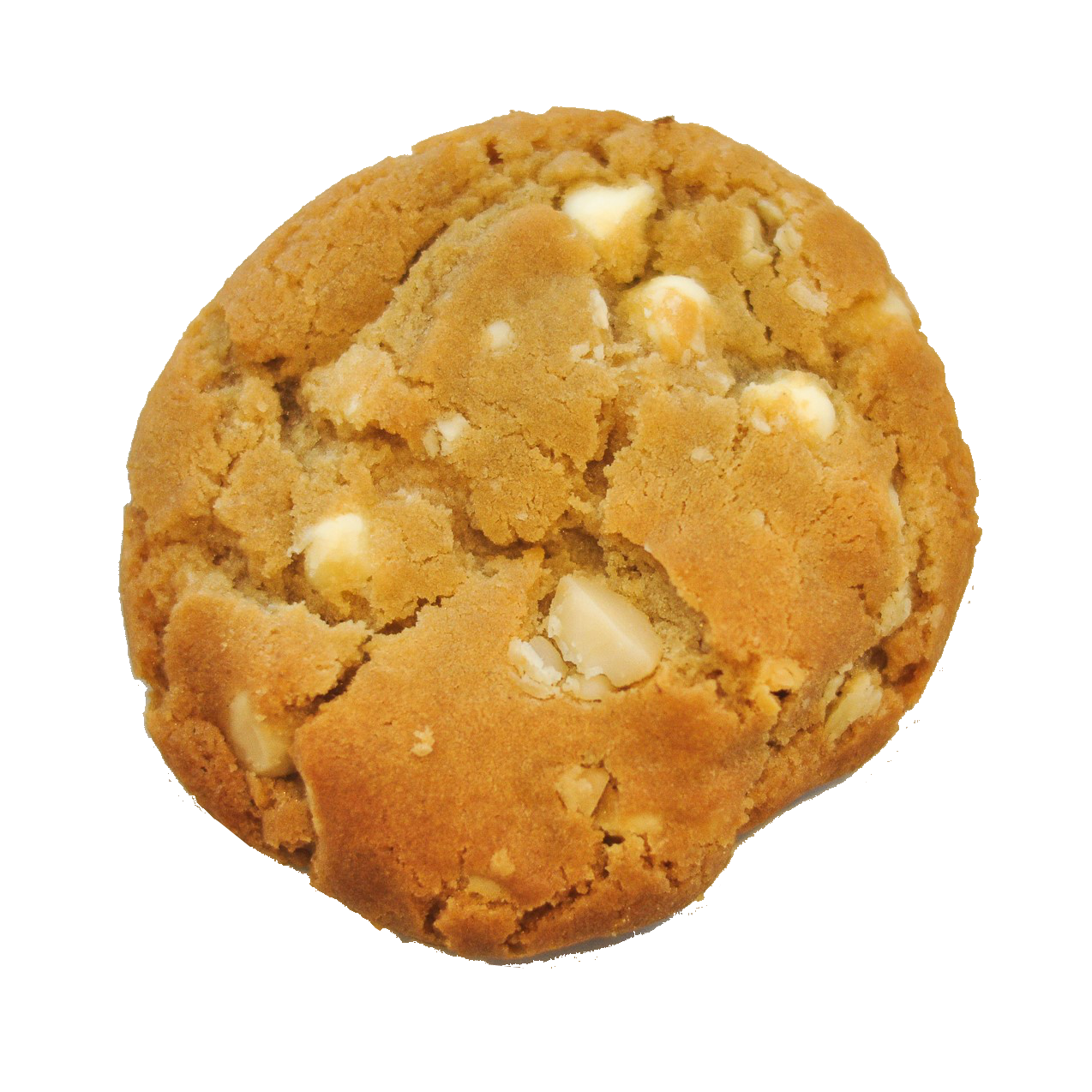 Cookie Single Download Free PNG