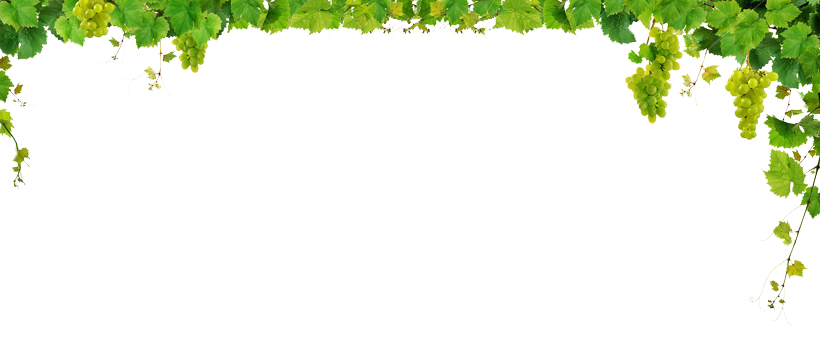 Corner Green Leaf PNG Clipart Background