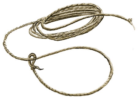 Cowboy Rope PNG Background