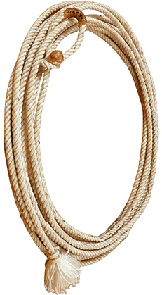 Cowboy Rope Transparent Images