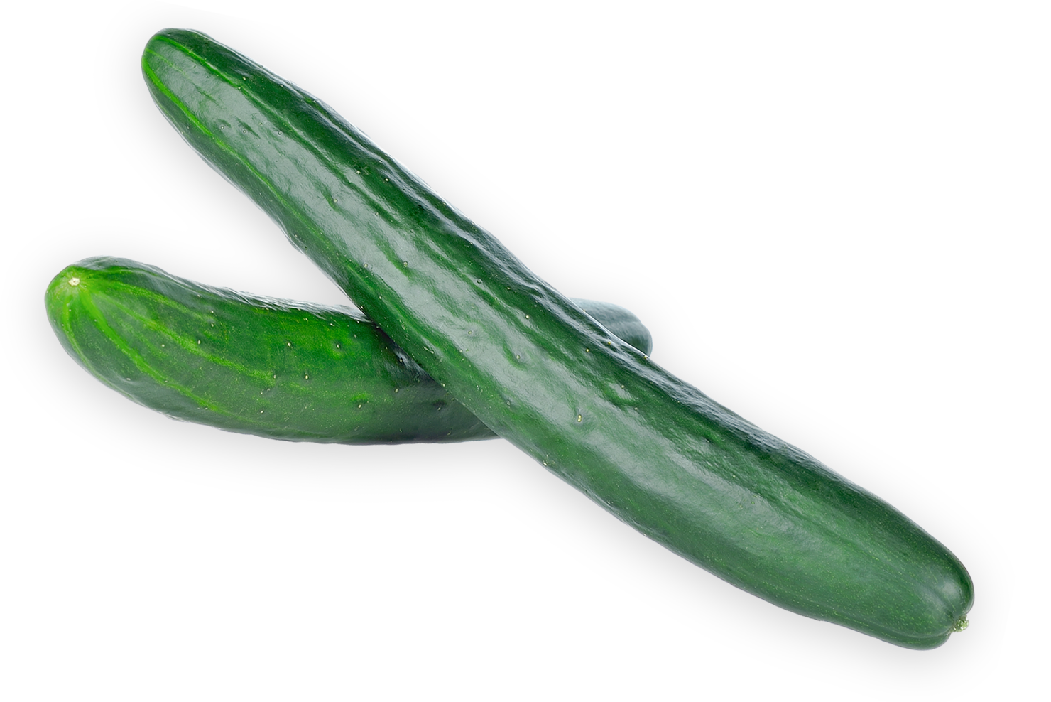 Cucumbers Transparent Background