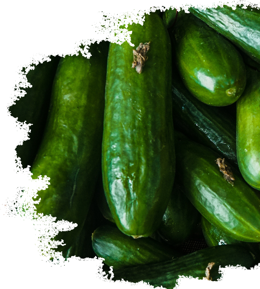 Cucumbers Transparent Image