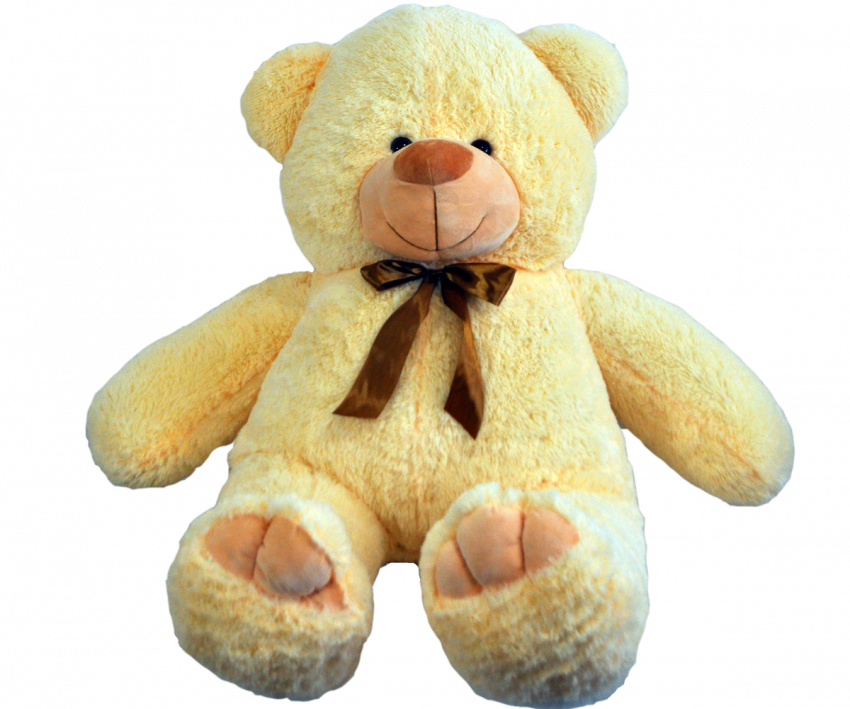 Cute Teddy Bear PNG Clipart Background