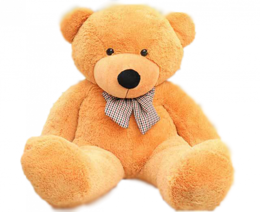 Cute Teddy Bear PNG Images HD