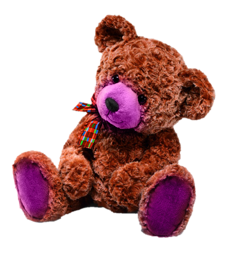 Cute Teddy Bear Transparent File