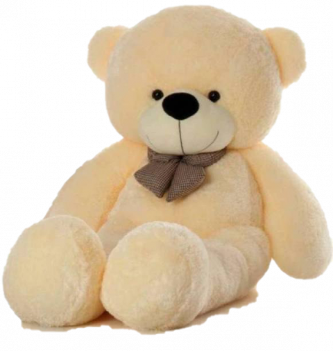 Cute Teddy Bear Transparent Images
