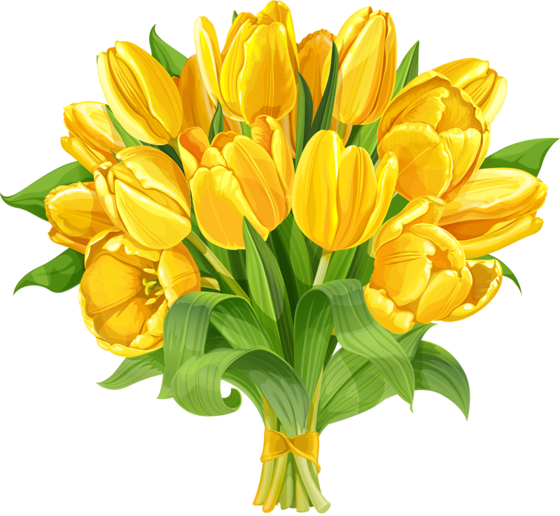 Daffodil Bunch Transparent PNG