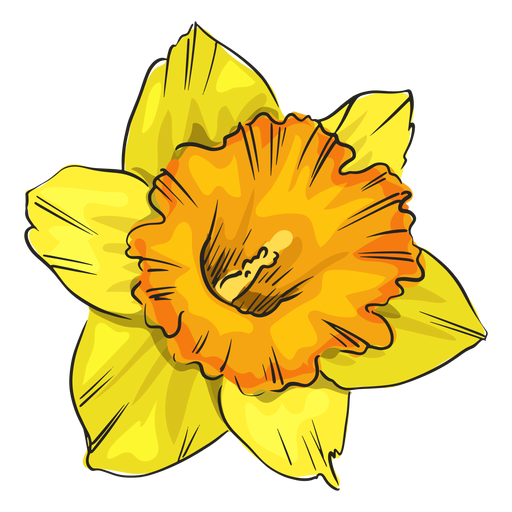 Daffodil Pin Download Free PNG