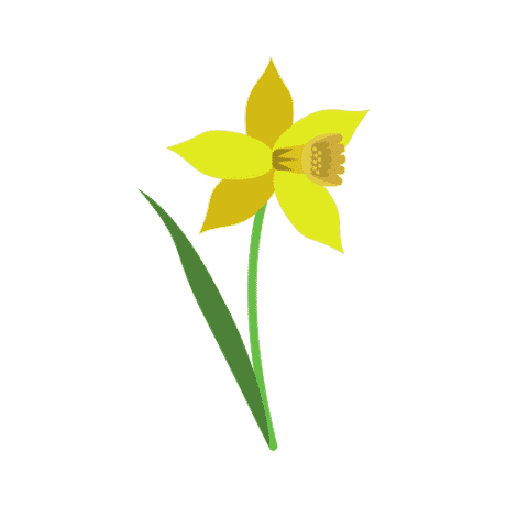 Daffodil Pin Free PNG
