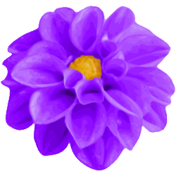 Dahlia Purple PNG Free File Download