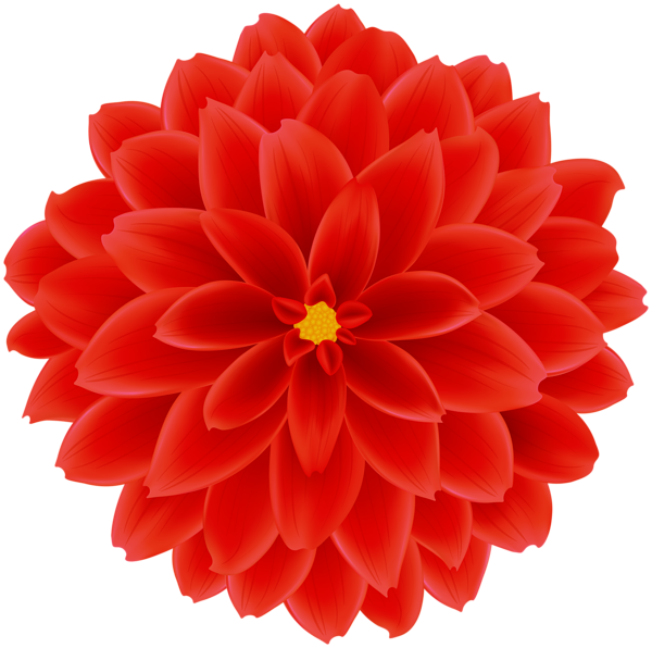 Dahlia Red Download Free PNG