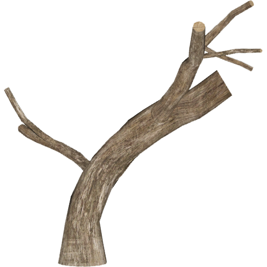 Dead Tree Empty Branches PNG Background