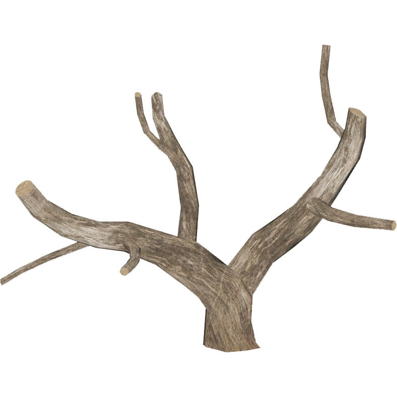 Dead Tree Empty Branches PNG Photo Image