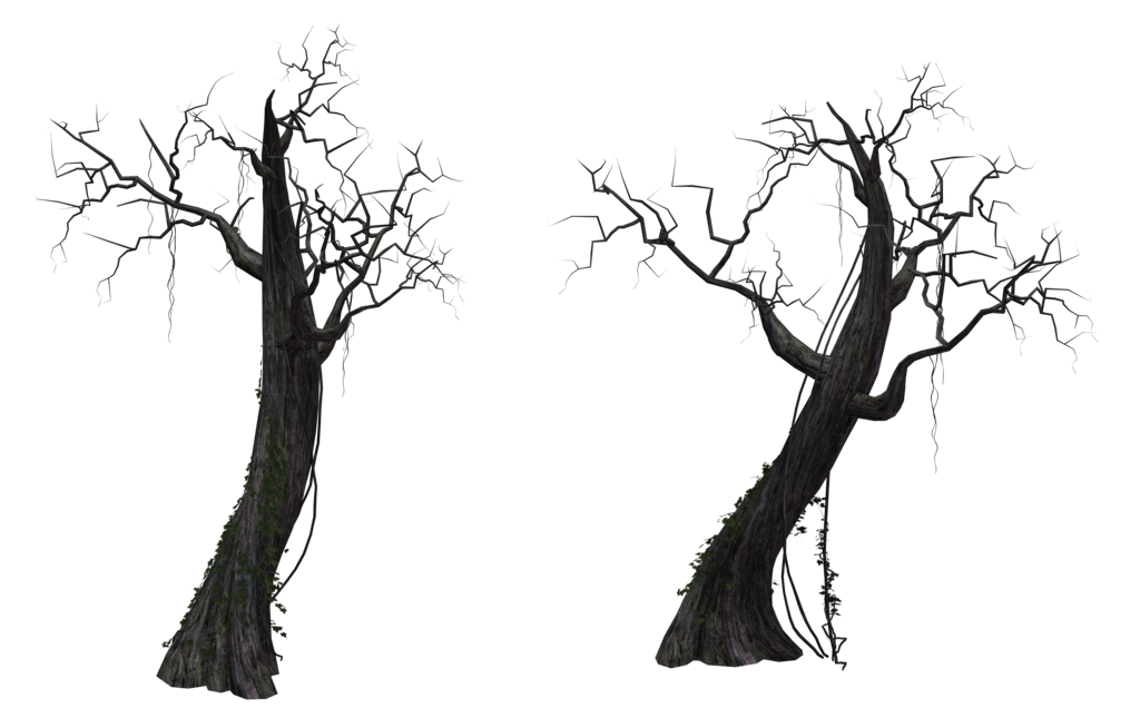Dead Tree Trunks Background PNG Image