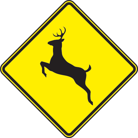 Deer Traffic PNG Clipart Background