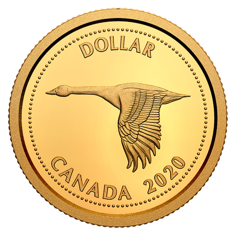 Dollar Gold PNG Background