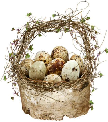 Egg In A Basket PNG Background