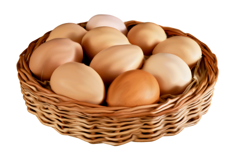 Egg In A Basket PNG Photos