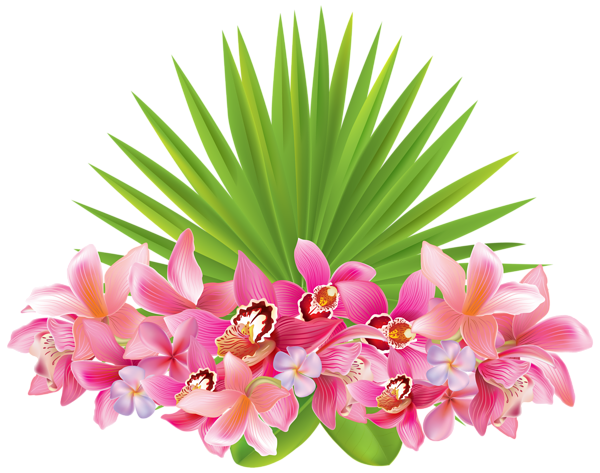 Exotic Pink Flower Background PNG Image